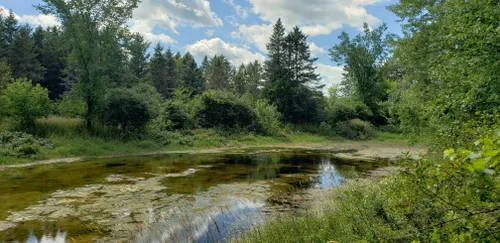 Our Favourite Hiking Trails in Kawartha Lakes