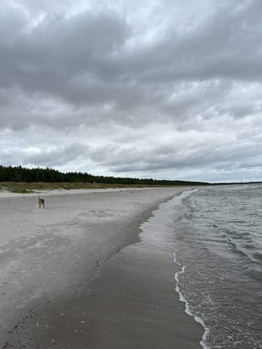Breege am Bodden