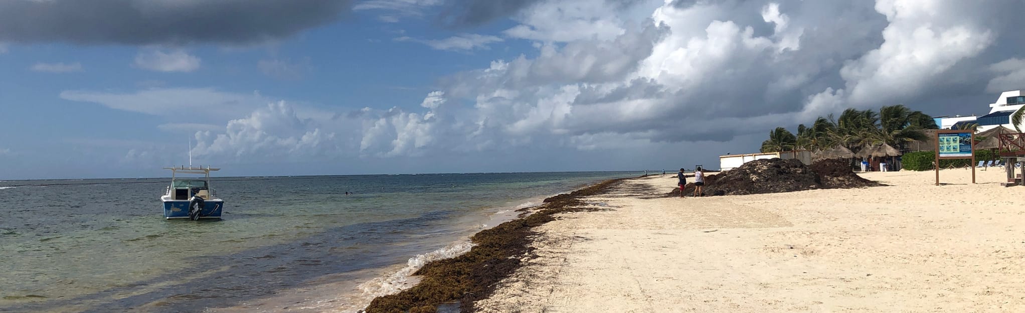 Playa Puerto Morelos 26 Reviews, Map Quintana Roo, Mexico AllTrails