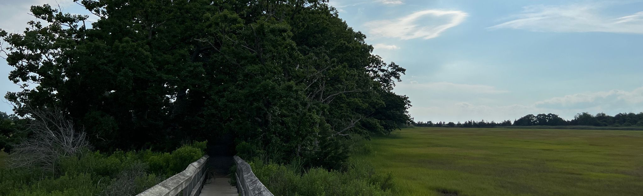 hammonasset beach bike trail