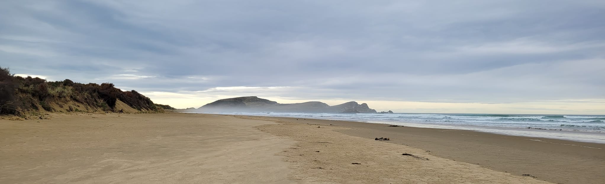 Surat Bay Beach Walk, Otago, New Zealand - 19 Reviews, Map | AllTrails