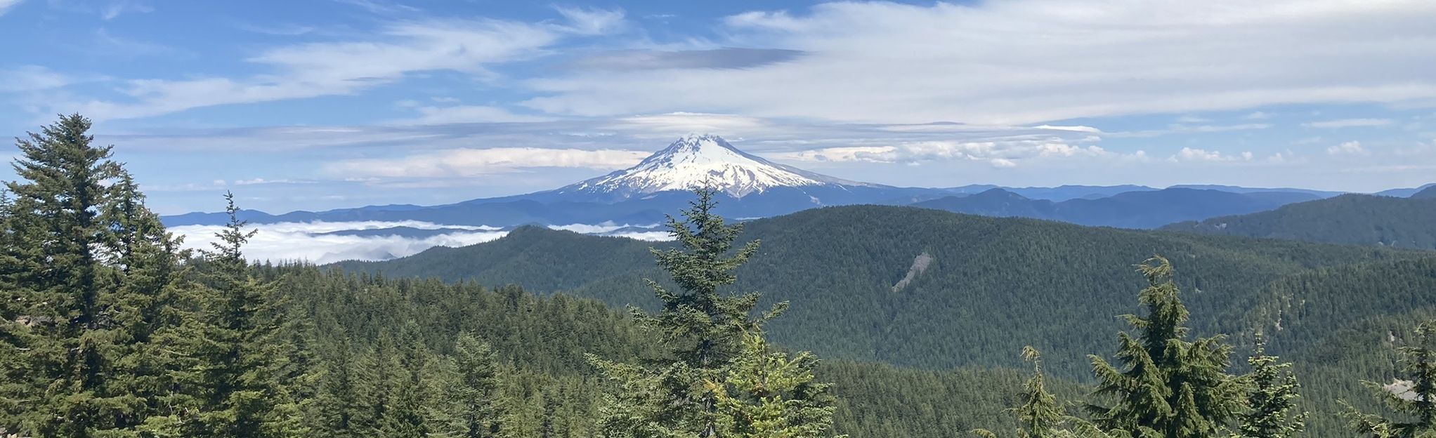 Tumala Mountain: East Trail, Oregon - 33 Reviews, Map | AllTrails