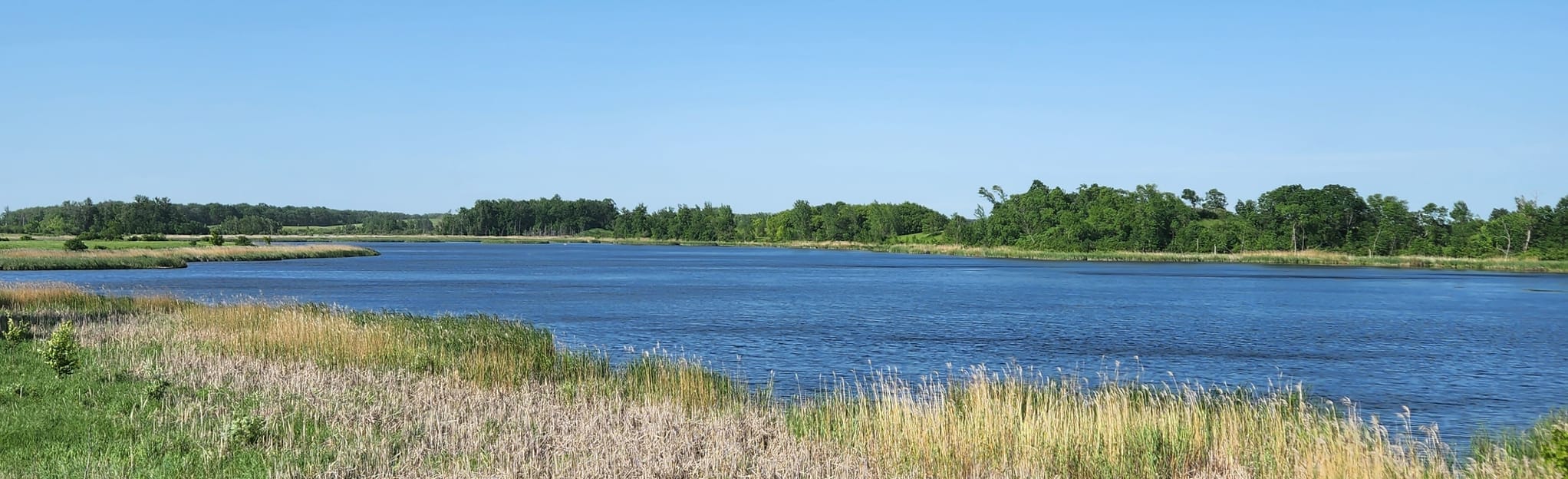 Hilltop Trail, Wetland Overlook Trail, and Long Prairie River Trail