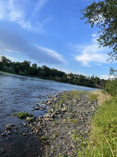 are dogs allowed at anderson river park