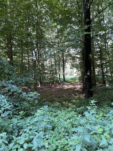 Von Baerlaghof in die Leucht