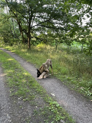 Von Baerlaghof in die Leucht
