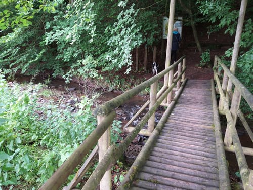 Bachpfad (Premiumwanderweg)