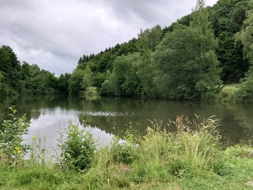 Bachpfad (Premiumwanderweg)