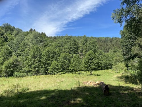 Hexenklamm (Premiumwanderweg)