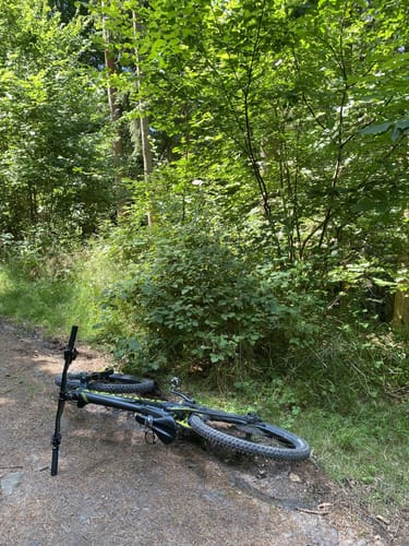 Flowtrail Bad Orb: Wintersberg-Trail
