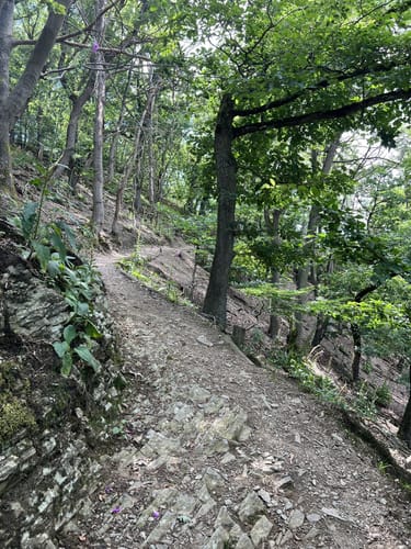 Rundweg B1 (Breitscheid-Verscheid)