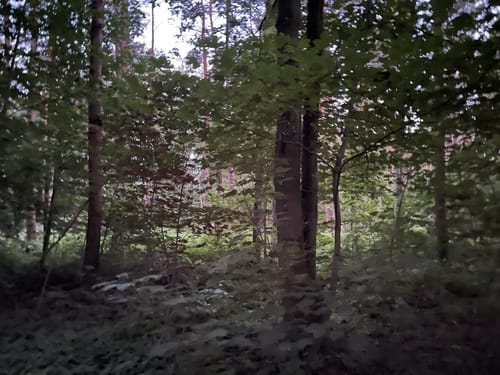 Durch die Kirchhellener Heide zum Heidesee