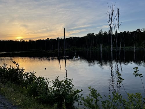 Durch die Kirchhellener Heide zum Heidesee