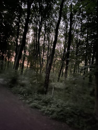 Durch die Kirchhellener Heide zum Heidesee