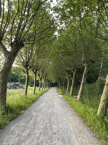 Durch die Kirchhellener Heide zum Heidesee