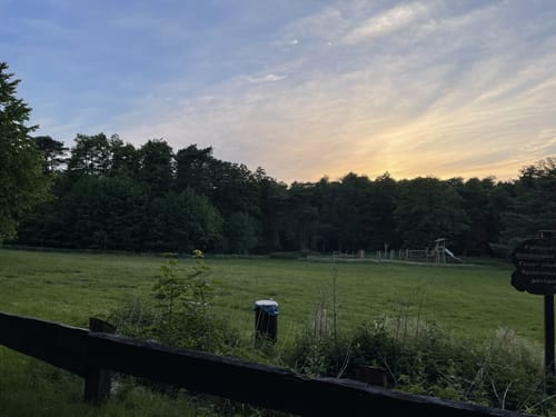 Durch die Kirchhellener Heide zum Heidesee