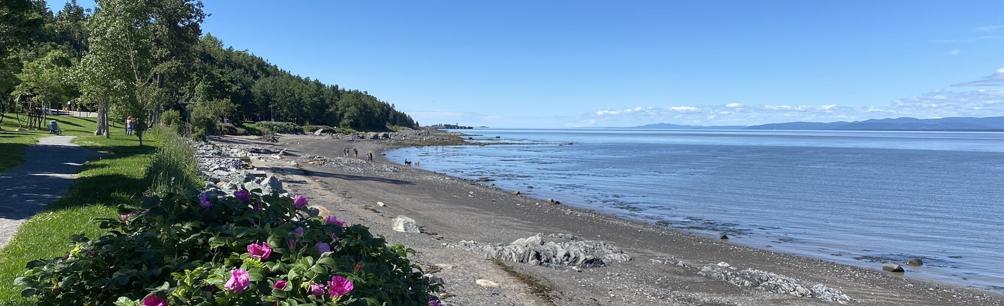 Pointe de la RivièreduLoup 32 Reviews, Map Quebec, Canada AllTrails