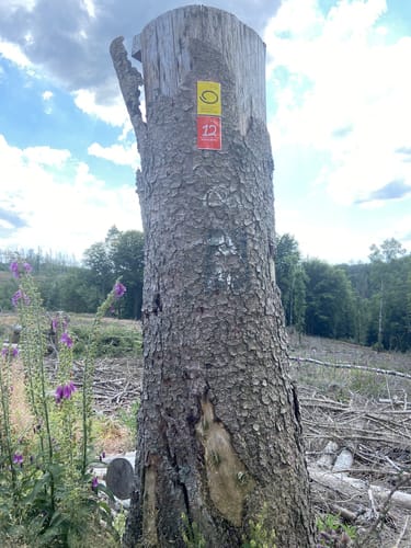 Heilkimatischer Wanderweg 2 (Eckenhagen)