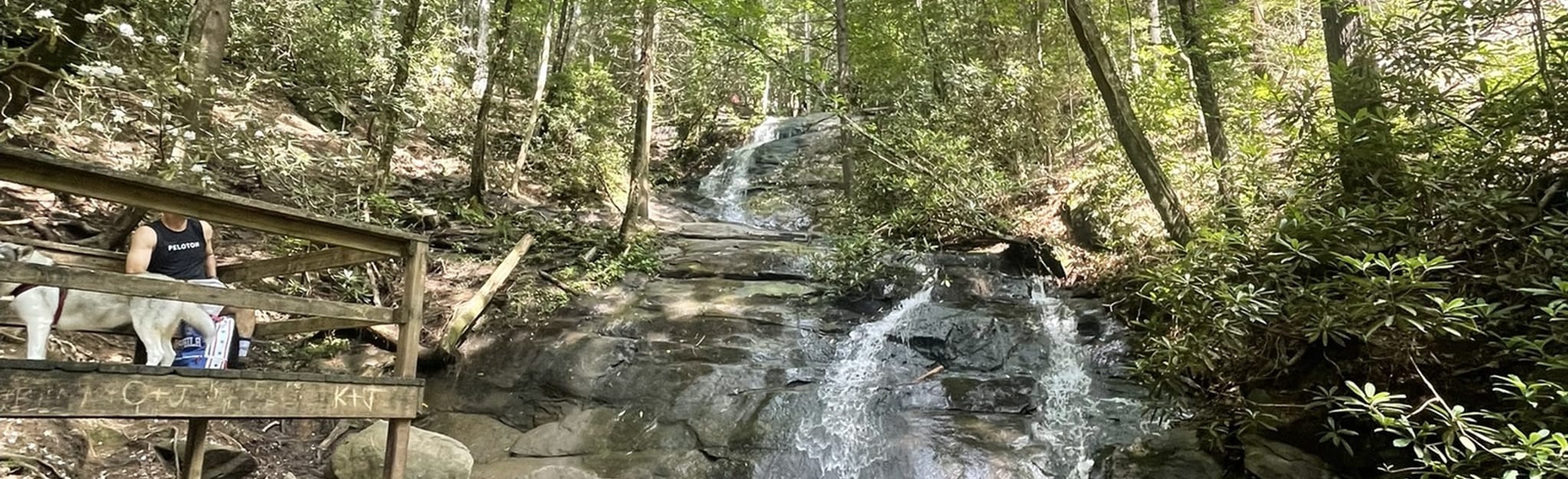 Fall Branch Falls Trail, 1,075 Reviews, Map AllTrails