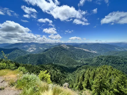 Best hikes tillamook state sale forest