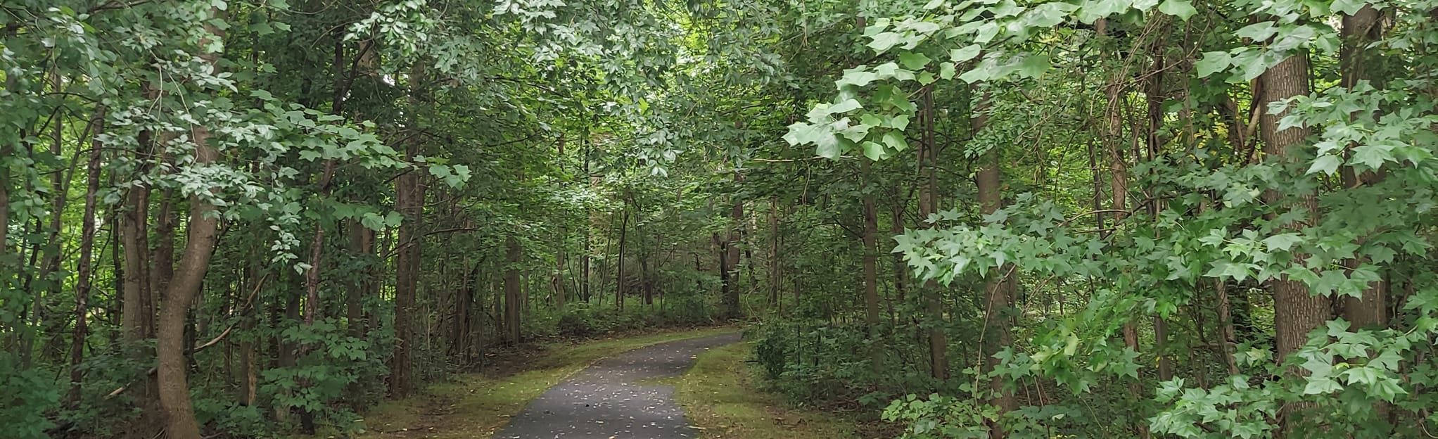 Chesapeake Beach Railroad Trail, Maryland 11 Reviews, Map AllTrails