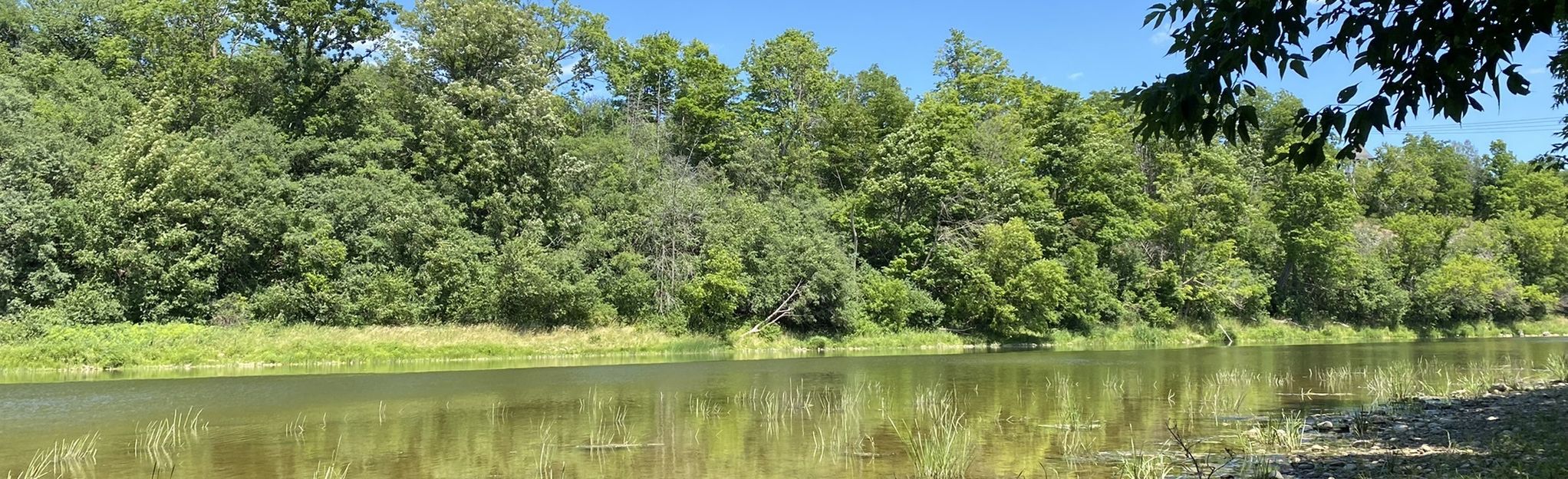 Homer Watson to Willowlake Park via TransCanada Trail 168 Reviews