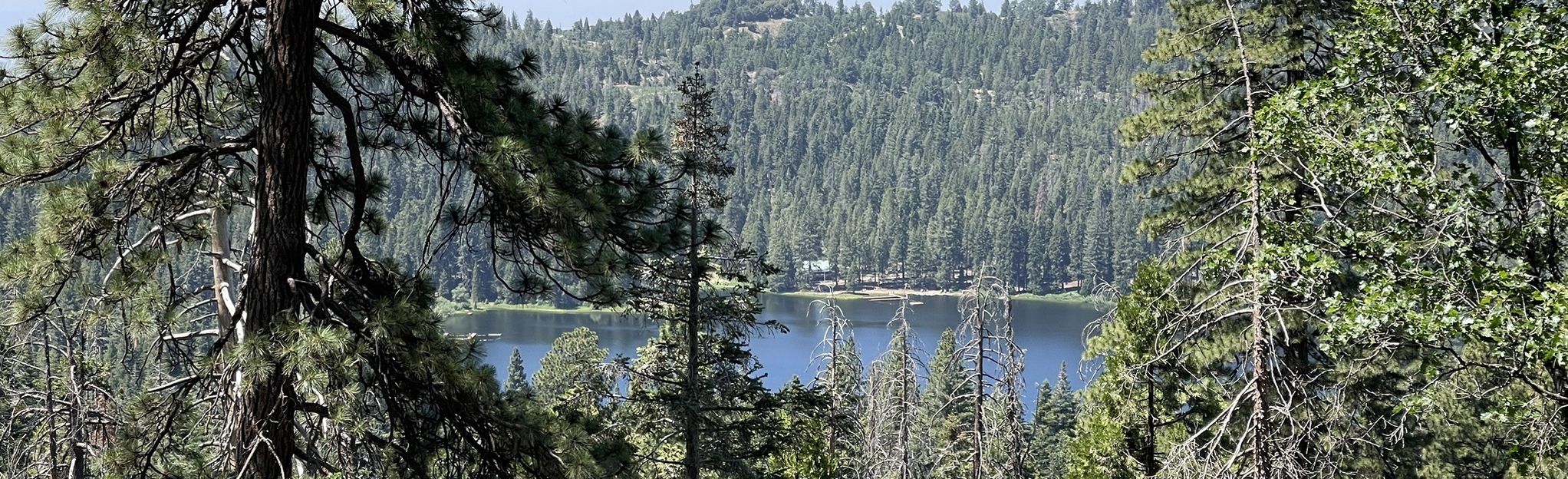 Grant Grove, Sequoia Lake Overlook and Ella Falls via Sunset Trail ...