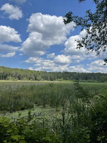 Mountain Biking Trails in WI