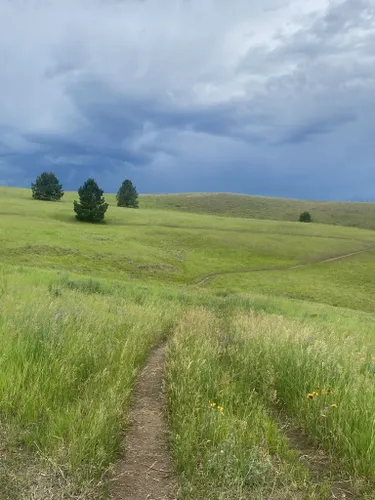 10 Best Trails And Hikes In Missoula | AllTrails