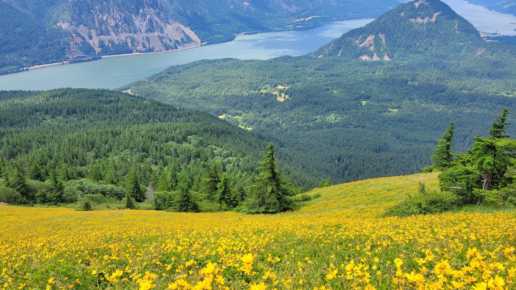 Take A Challenging Hike To This Spectacular Washington Overlook