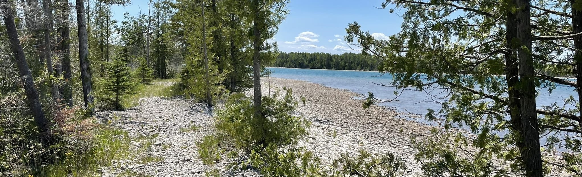 Thompson's Harbor Bear Lake Loop, Michigan 36 Reviews, Map AllTrails