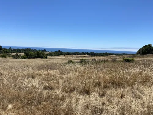 10 Best Hikes and Trails in Wilder - EyJidWNrZXQiOiJhc3NldHMuYWxsdHJhaWxzLmNvbSIsImtleSI6InVwbG9hZHMvcGhvdG8vaW1hZ2UvNDkwNjQyODAvMmVkYjEyOGRmMWY1MDZhMTNhYTczOWUwYmFlY2MzNzYuanBnIiwiZWRpdHMiOnsidG9Gb3JtYXQiOiJ3ZWJwIiwicmVzaXplIjp7IndpZHRoIjo1MDAsImhlaWdodCI6NTAwLCJmaXQiOiJpbnNpZGUifSwicm90YXRlIjpudWxsLCJqcGVnIjp7InRyZWxsaXNRdWFudGlzYXRpb24iOnRydWUsIm92ZXJzaG9vdERlcmluZ2luZyI6dHJ1ZSwib3B0aW1pc2VTY2FucyI6dHJ1ZSwicXVhbnRpc2F0aW9uVGFibGUiOjN9fX0=