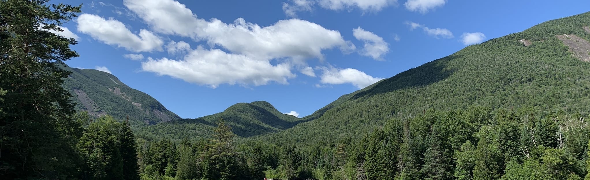 Mount Redfield and Cliff Mountain Trail 292 Reviews, Map New York