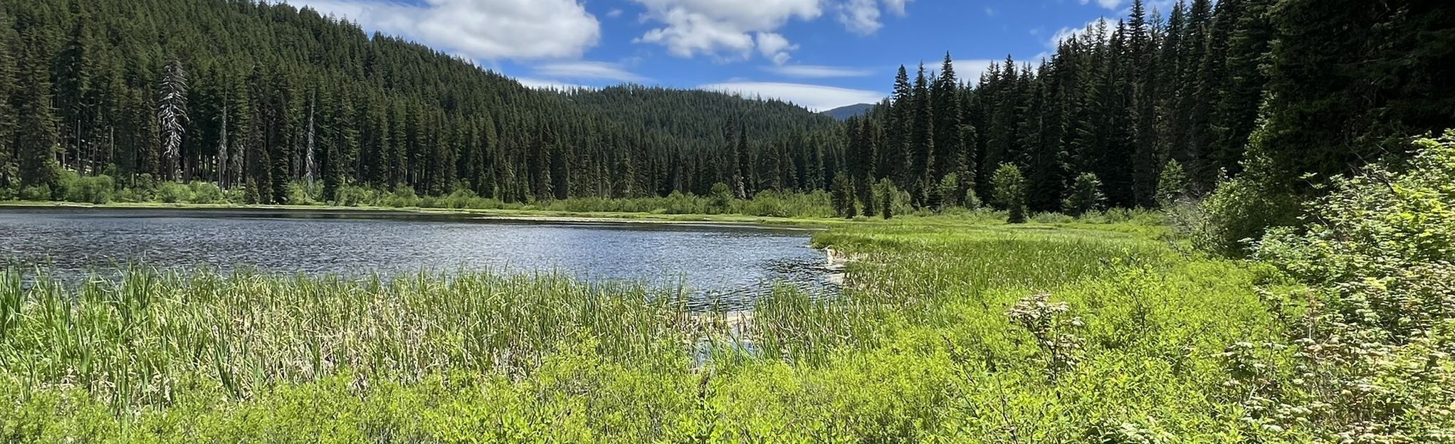 Marion Lake Trail, Oregon - 449 Reviews, Map | AllTrails