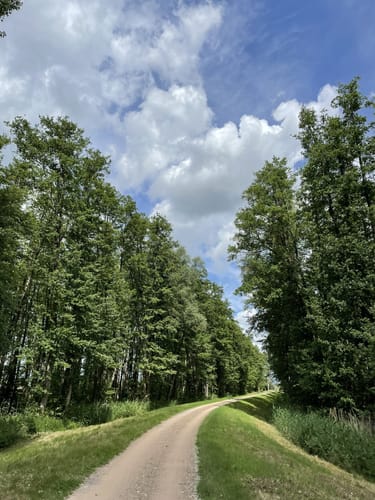 Wanderweg Dümmerdeich