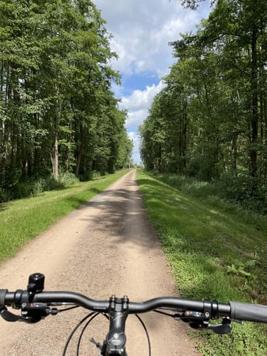 Wanderweg Dümmerdeich
