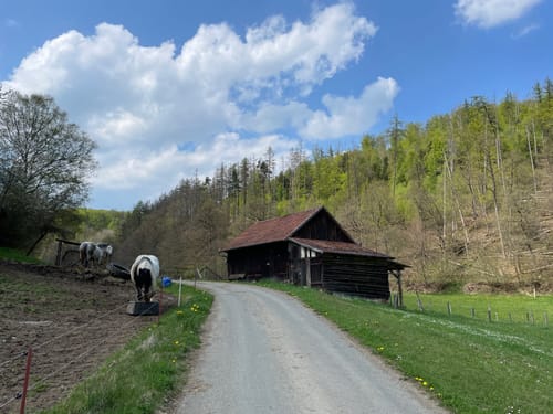 Dreiherrensteinroute