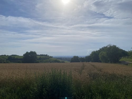 Güglingen um dem Schnarrenberg nach Frauenzimmern