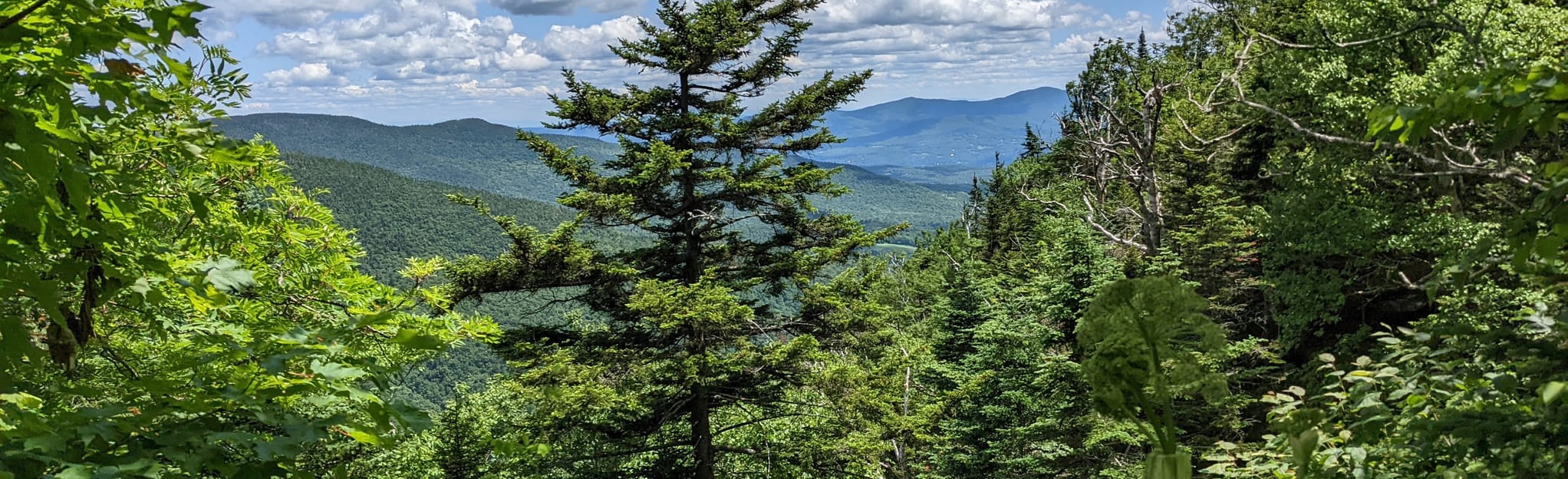 Mount Mansfield via Hellbrook Trail and the Long Trail Vermont