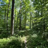 Trout Pond and Mud Pond Loop, New York - 144 Reviews, Map | AllTrails