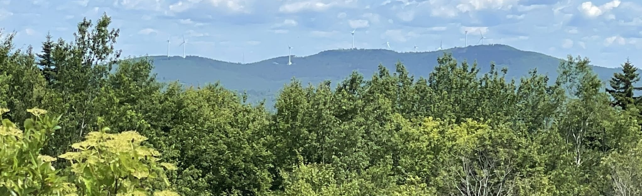 Jackson Hill 17 Reviews, Map New Hampshire AllTrails