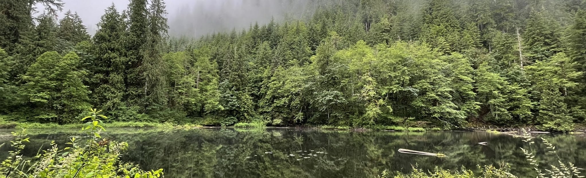 Frog Lake Trail 28 Reviews, Map Washington AllTrails