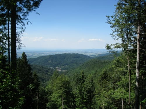 Radtour: Bad Krozingen - Efringen-Kirchen - Tegernau