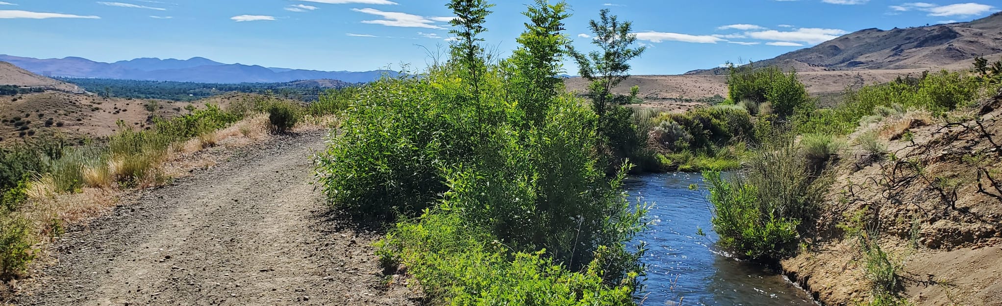 Woodchuck Trail 324 Reviews, Map Nevada AllTrails