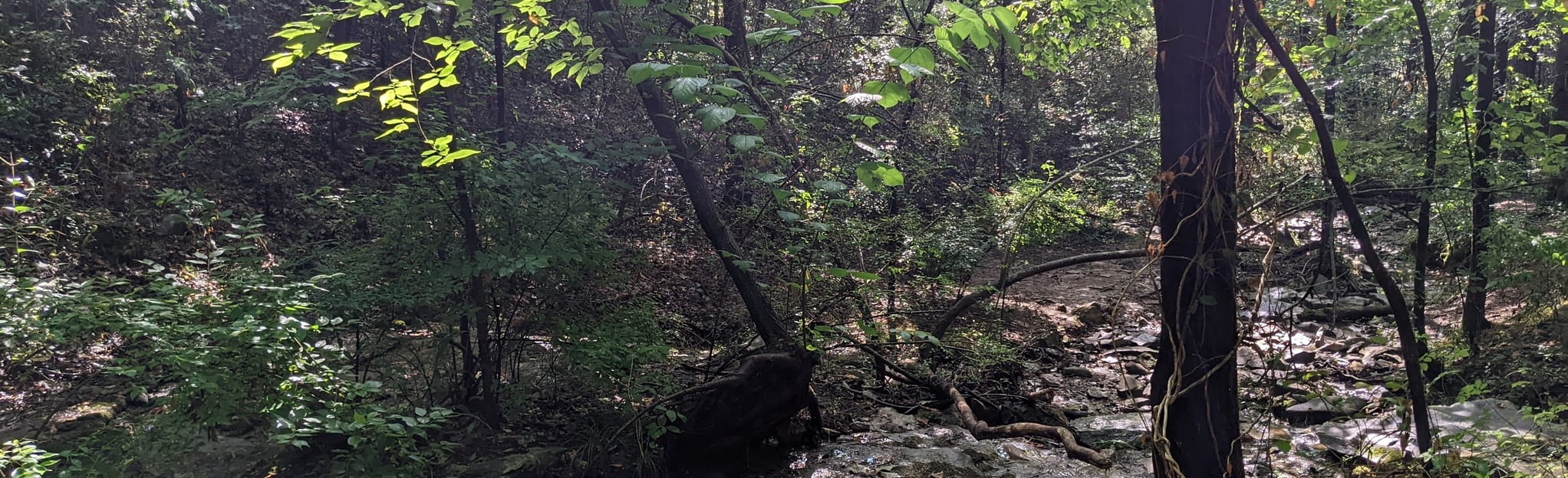 Spring Trail, Alabama 83 Reviews, Map AllTrails