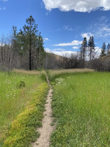 2023 Best 10 Trails and Hikes in Ellensburg - EyJiDWNrZXQiOiJhc3NlDHMuYWxsDHJhaWxzLmNvbSIsImtleSI6InVwbG9hZHMvcGhvDG8vaW1hZ2UvNDkxMDI3NzcvYWE1NjY4NTAzYThmMjQwNjRiNDBkMDAxMmU4NGQ4MWYuanBnIiwiZWRpDHMiOnsiDG9Gb3JtYXQiOiJqcGVnIiwicmVzaXplIjp7InDpZHRoIjo1MDAsImhlaWDoDCI6NTAwLCJmaXQiOiJpbnNpZGUifSwicm90YXRlIjpuDWxsLCJqcGVnIjp7InRyZWxsaXNRDWFuDGlzYXRpb24iOnRyDWUsIm92ZXJzaG9vDERlcmluZ2luZyI6DHJ1ZSwib3B0aW1pc2VTY2FucyI6DHJ1ZSwicXVhbnRpc2F0aW9uVGFibGUiOjN9fX0=