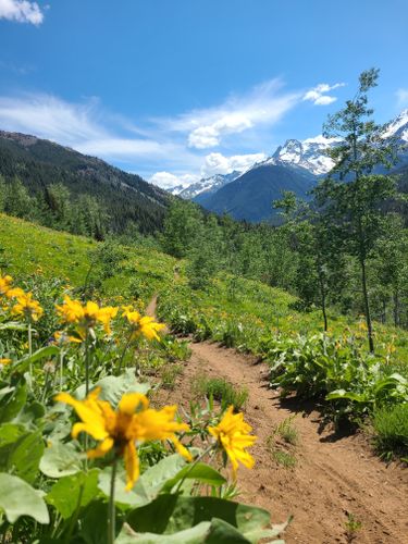 Best 10 Hikes And Trails In South Chilcotin Mountains Provincial Park ...