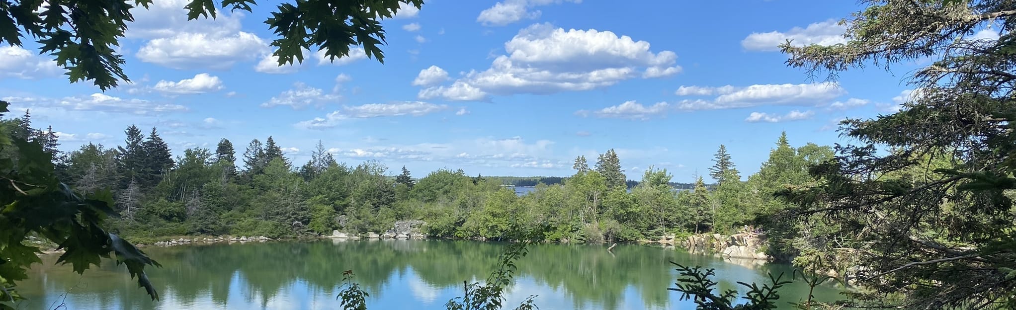 Clark Island Preserve, Maine 274 Reviews, Map AllTrails