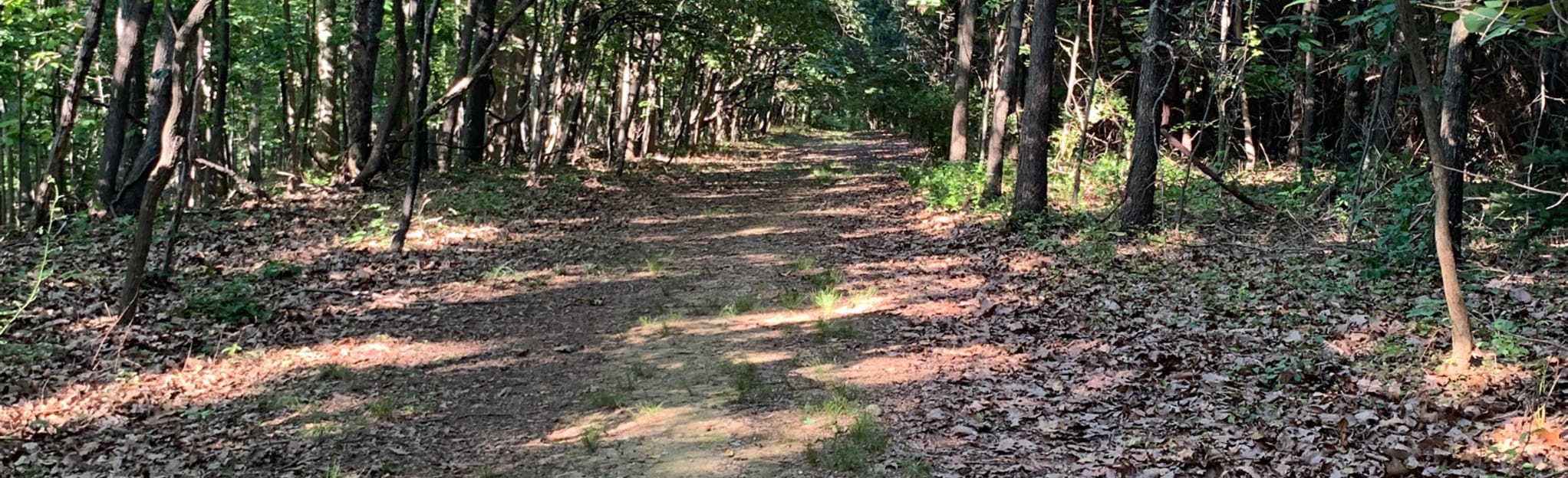 Pine Valley Park Loop 113 Reviews, Map Maryland AllTrails