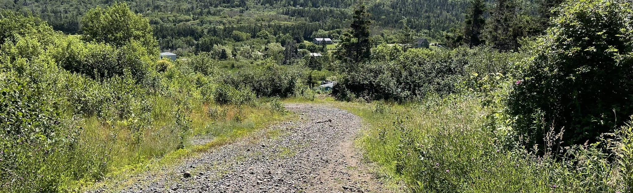 Gullivers Cove (Upper Lookoff Trail) 62 fotos Nova Escócia, Canadá